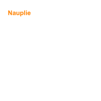 Ancienne capitale de la Gr�ce, Nauplie (ville neuve) est une petite ville tr�s pittoresque ayant beaucoup de charme avec son port anim�, ses maisons n�oclassiques et v�nitiennes et ses vieilles ruelles, ses fontaines turques. Elle doit son nom au descendant de Pos�idon, Nauplios